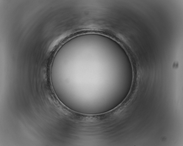 X0000113361307200909221149