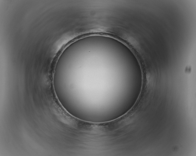 X0000113361308200909221149