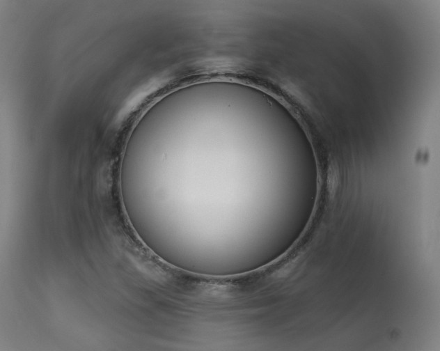 X0000113361309200909221149
