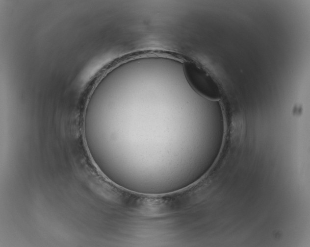 X0000113361310200909221149