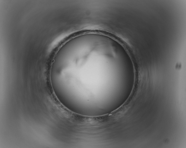 X0000113361311200909221150