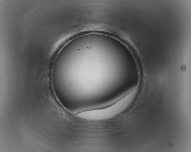 X0000113361312200909221150
