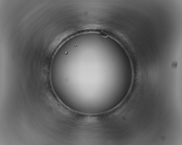 X0000113361313200909221150