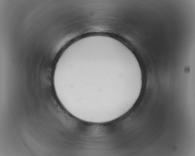 X0000113361314200909221150