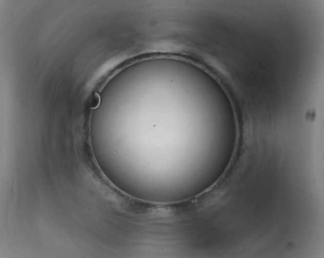 X0000113361315200909221150