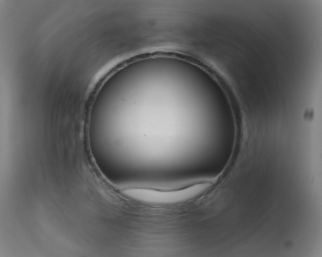 X0000113361316200909221150