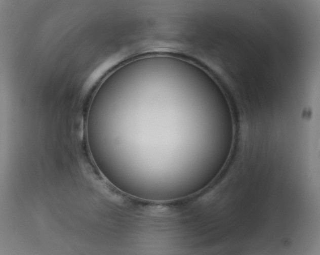 X0000113361317200909221150