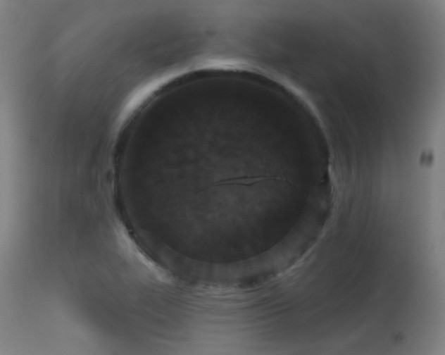 X0000113361319200909221150