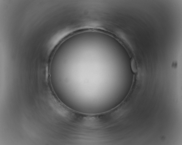 X0000113361320200909221150