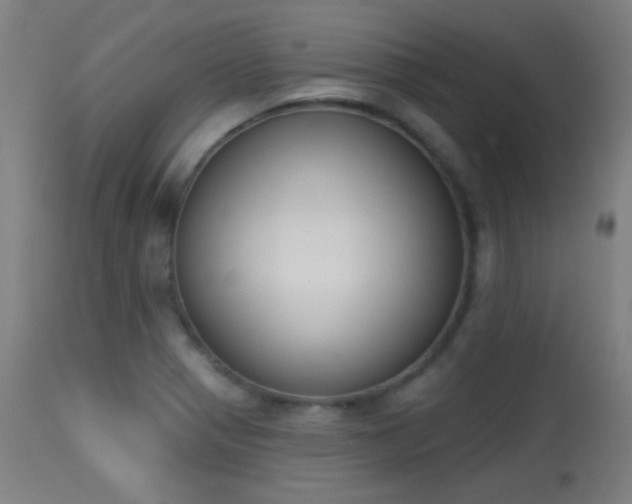 X0000113361321200909221150
