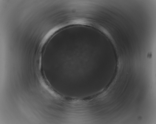 X0000113361323200909221150