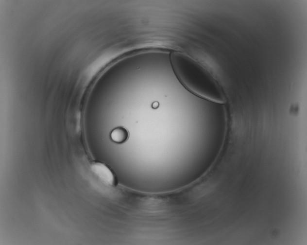 X0000113361324200909221150