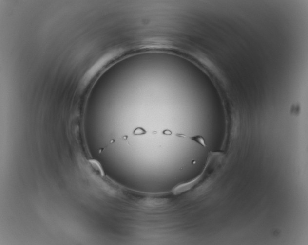 X0000113361325200909221150