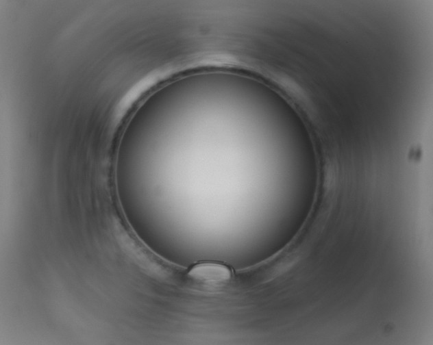 X0000113361326200909221150