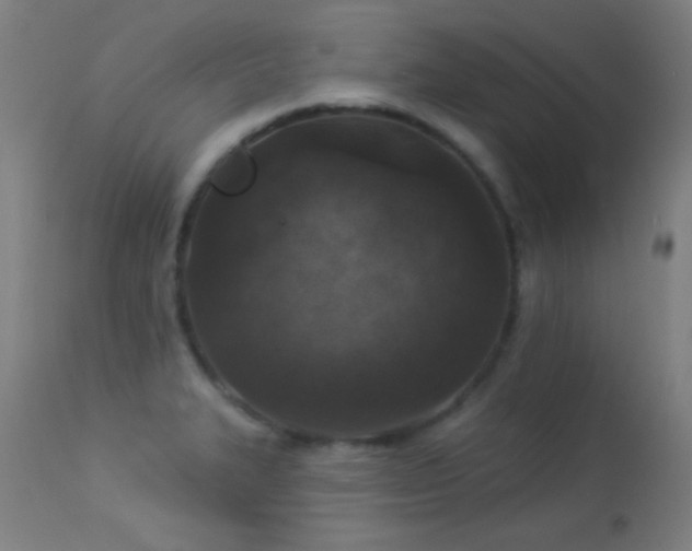X0000113361327200909221150