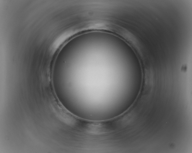 X0000113361328200909221150