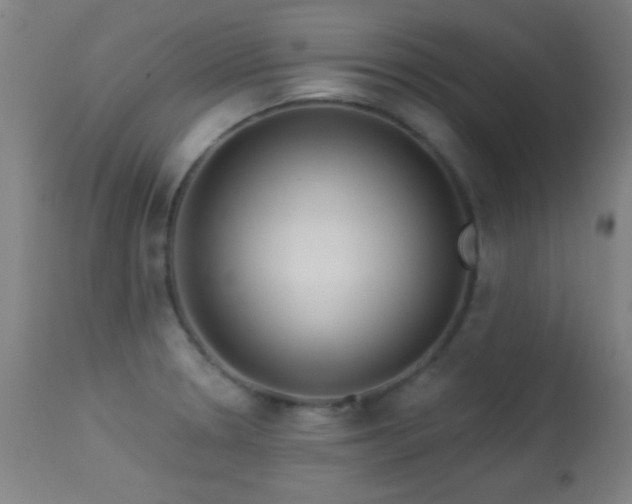 X0000113361330200909221150