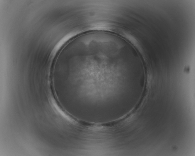X0000113361331200909221150