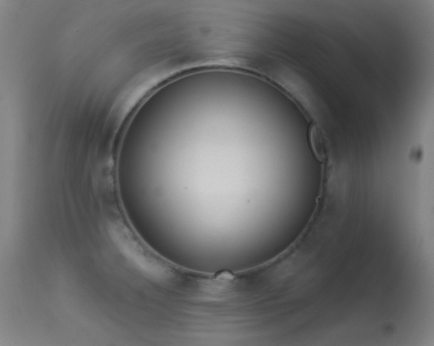 X0000113361332200909221150