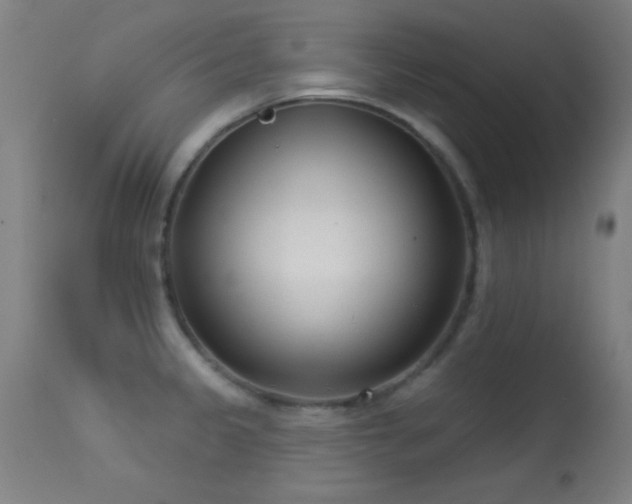 X0000113361333200909221150