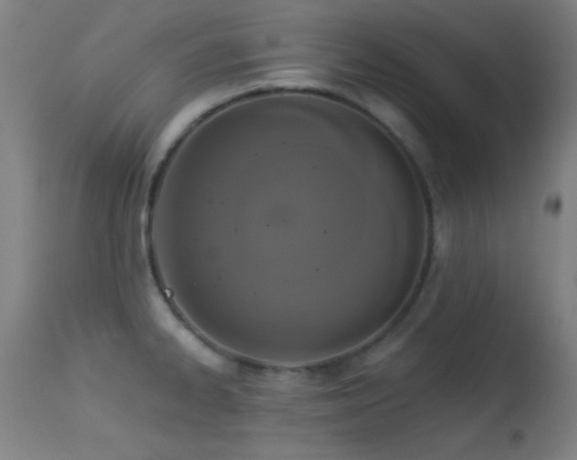 X0000113361334200909221150