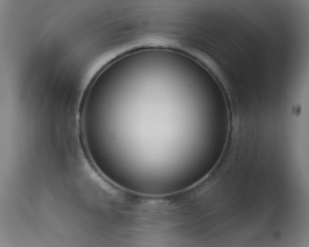 X0000113361335200909221150