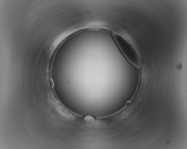 X0000113361336200909221150