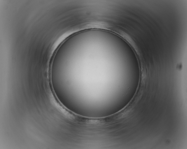 X0000113361339200909221150