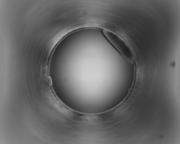 X0000113361340200909221150