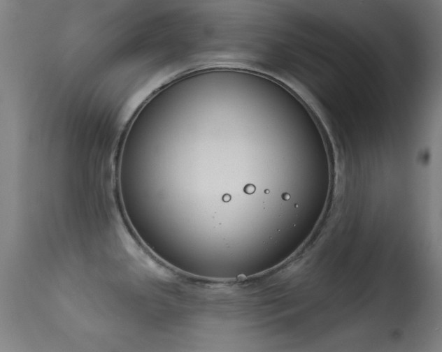 X0000113361341200909221150