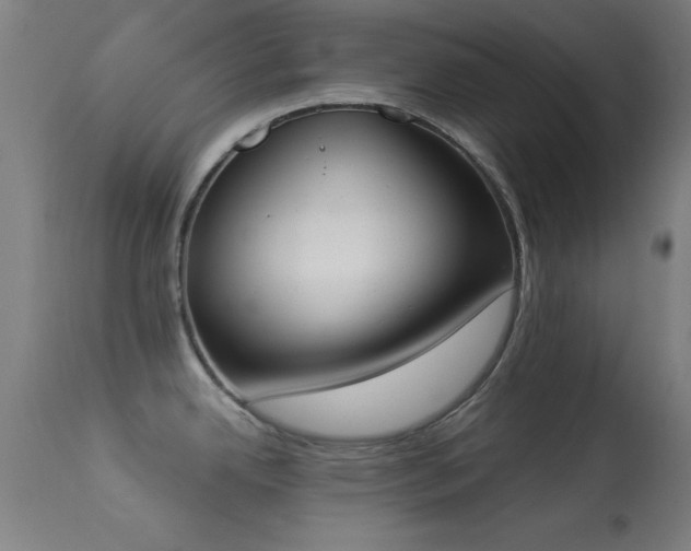 X0000113361342200909221150
