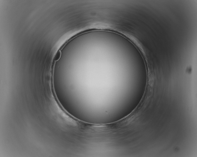 X0000113361343200909221150