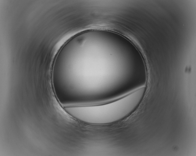 X0000113361344200909221150