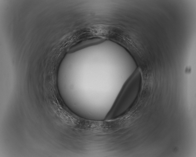 X0000113361345200909221149