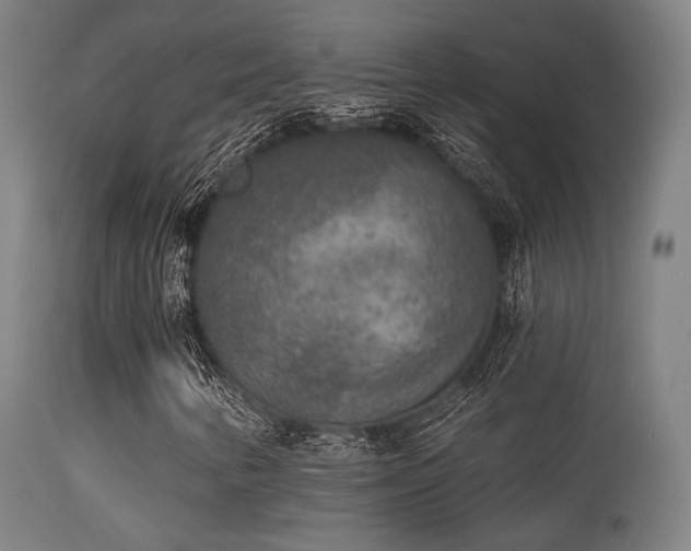 X0000113361346200909221149