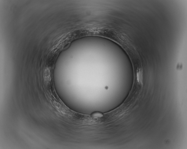 X0000113361347200909221149