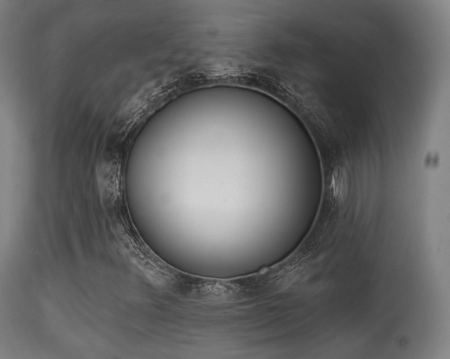 X0000113361348200909221149