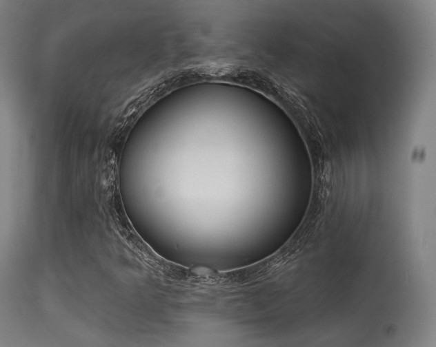 X0000113361349200909221149