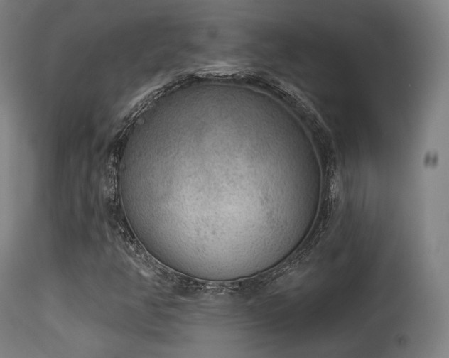 X0000113361350200909221149