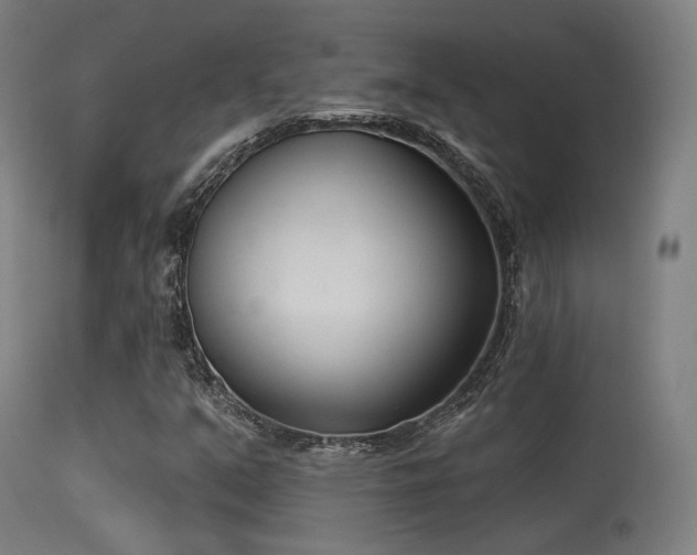 X0000113361351200909221149