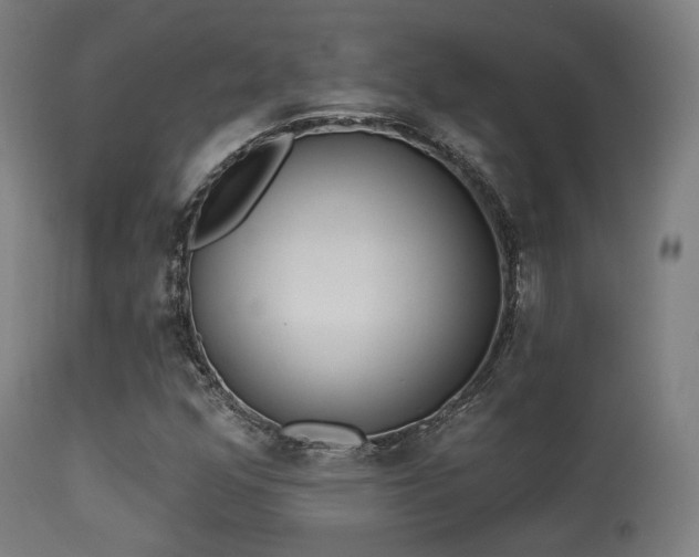 X0000113361352200909221149