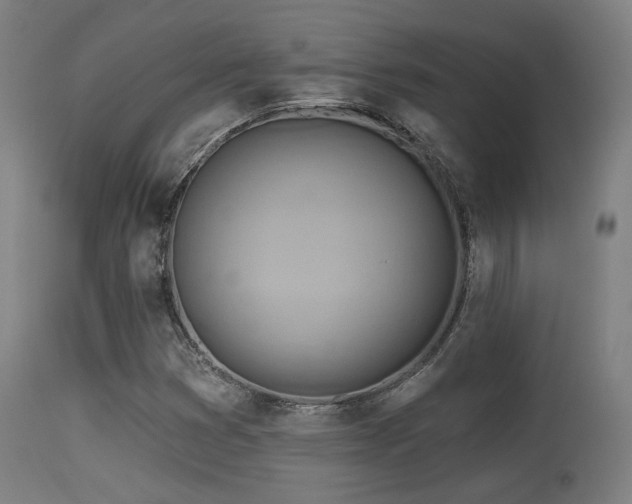 X0000113361353200909221149