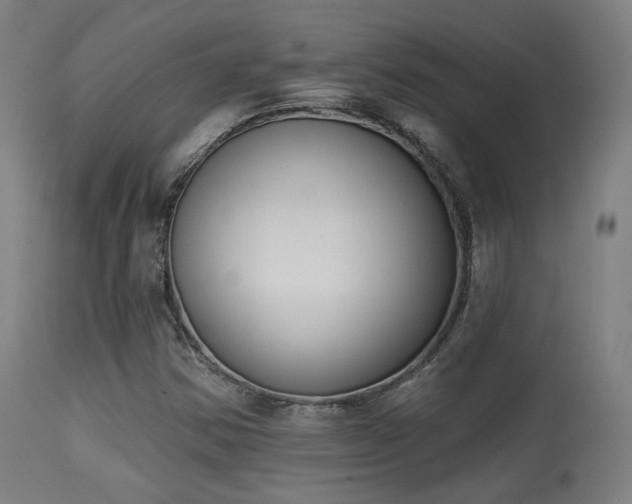 X0000113361354200909221149
