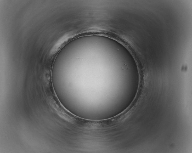 X0000113361355200909221149