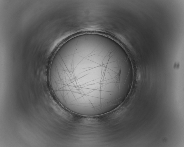 X0000113361356200909221149