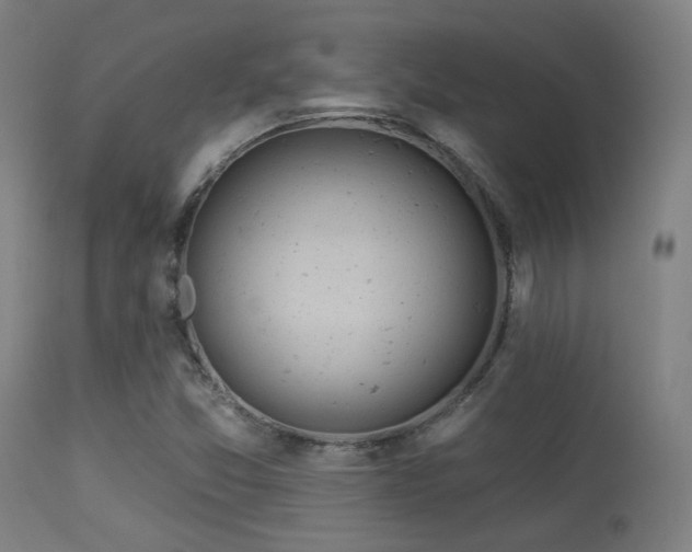 X0000113361357200909221149
