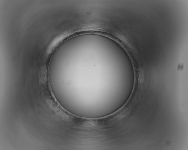 X0000113361358200909221149