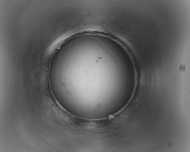 X0000113361359200909221149