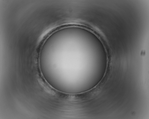 X0000113361360200909221149