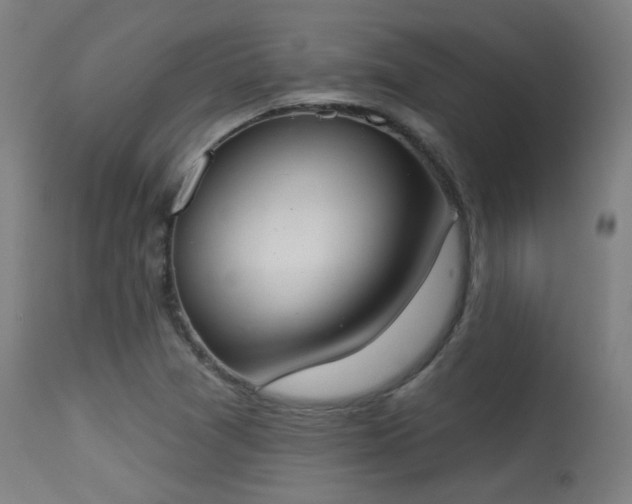 X0000113361361200909221149